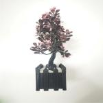 اصغر كاميرا في بوكاله الورد